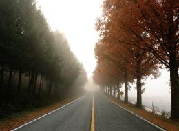 가을의 길 