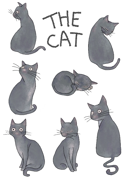 cat 썸네일