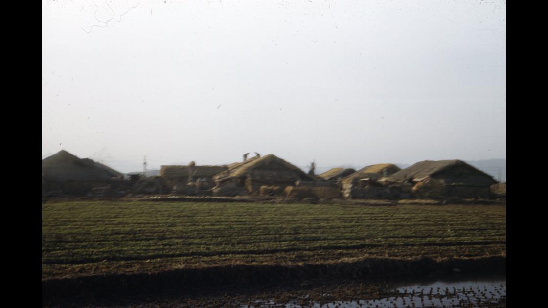 1951년 대구 K-2비행장 주변 겨울 농가 지붕잇기 썸네일