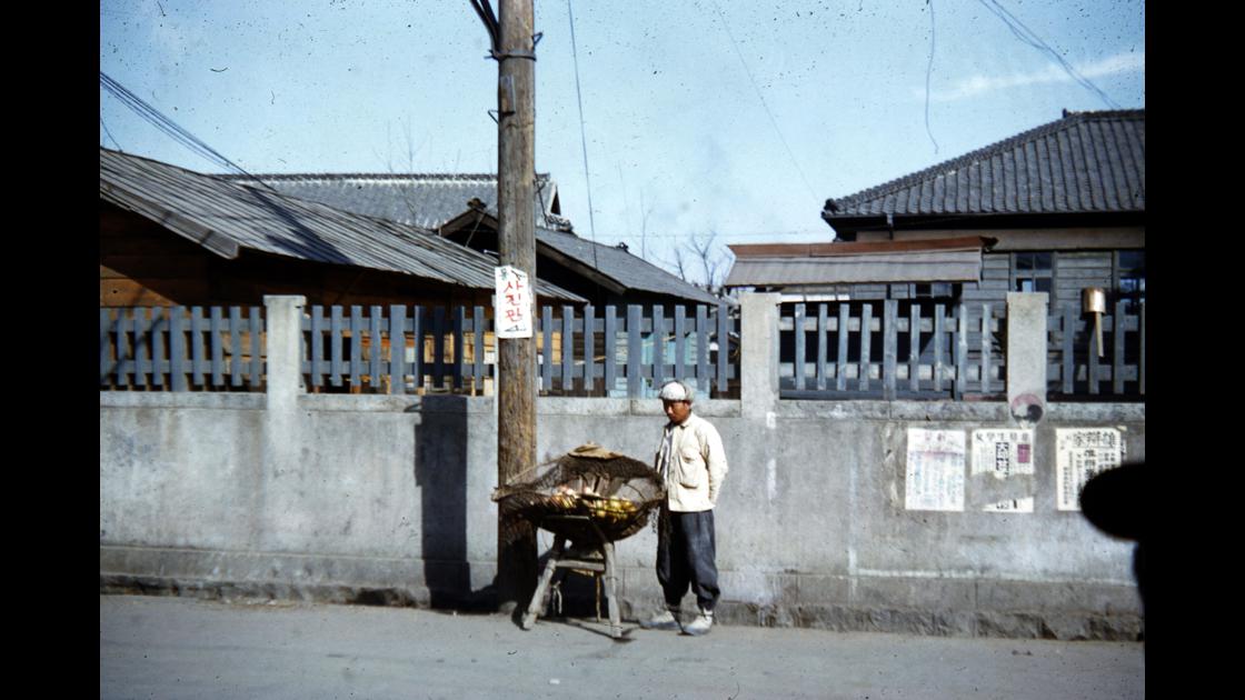 1952년 대구 지겟짐에 사과를 담아 거리에서 팔고있는 참외장수 썸네일