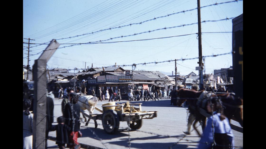 1952년 대구 시외버스터미널 앞 썸네일