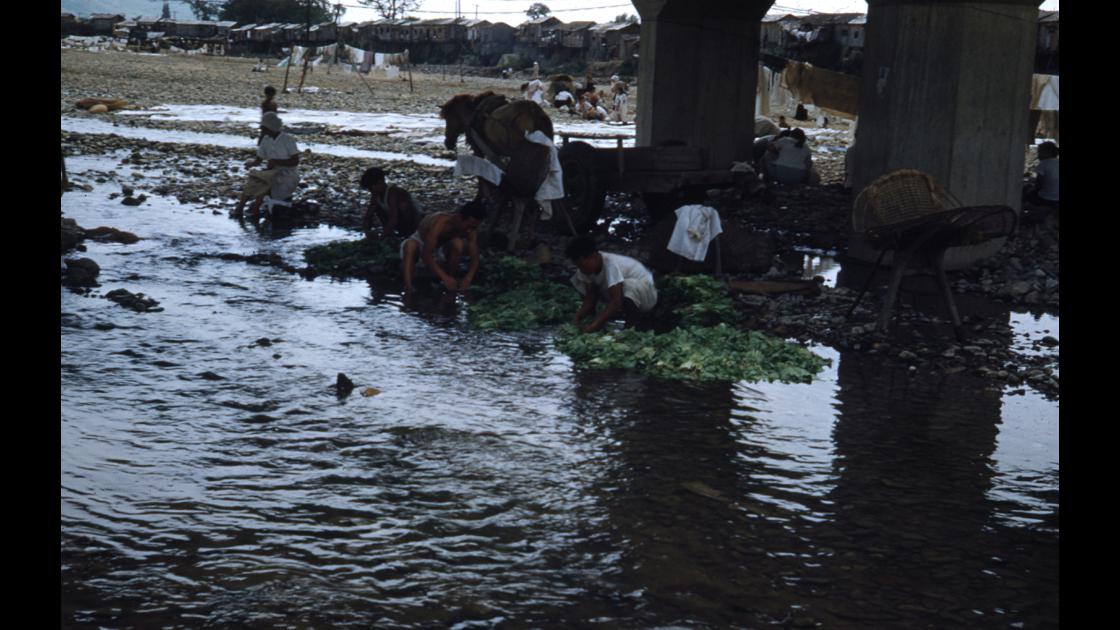 1952년 대구 신천 강변 다리 밑에서 채소를 씻고있는 사람들 썸네일