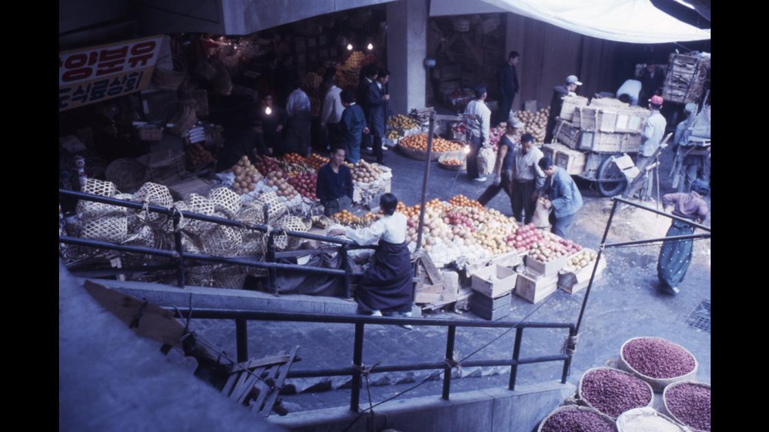 1967년 대구 서문시장 과일가게들 썸네일