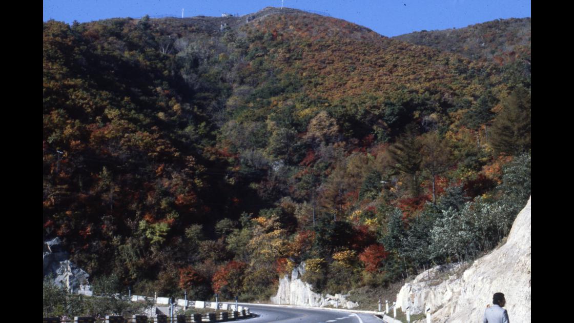 1978년 강릉에서 설악산으로 가는 도로 주변 단풍_2 썸네일
