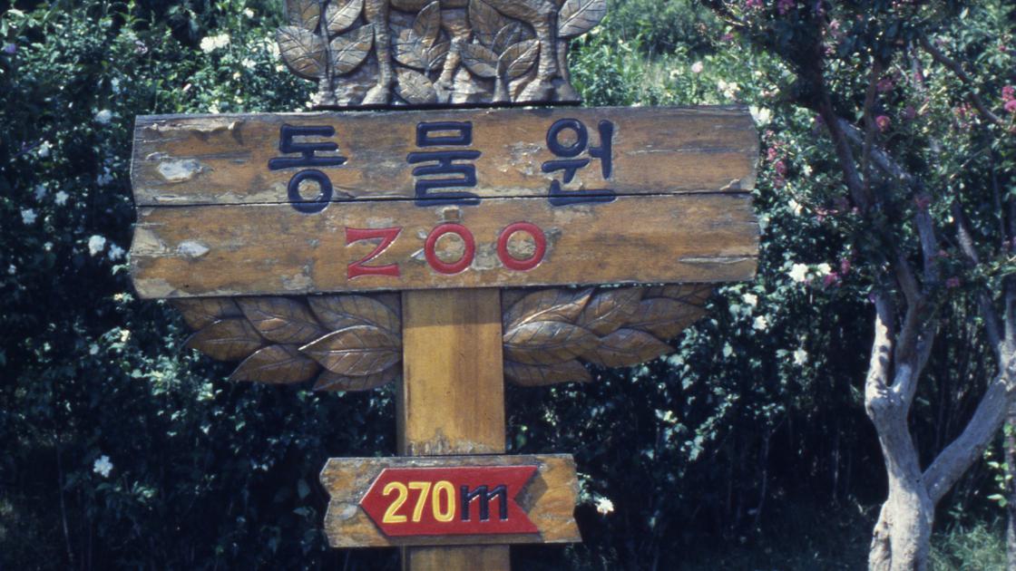 1978년 추풍령휴게소 동물원으로 가는 방향 표식판 썸네일