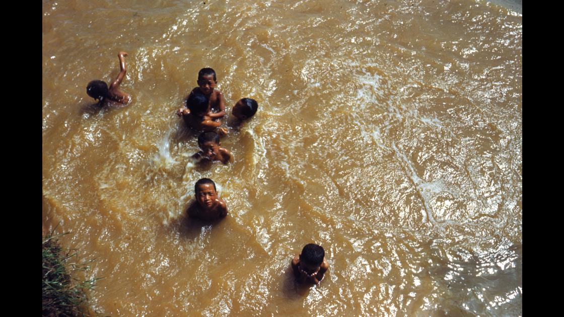 1952년 7월 김포의 수로 흙탕물에서 멱을 감고있는 아이들 썸네일