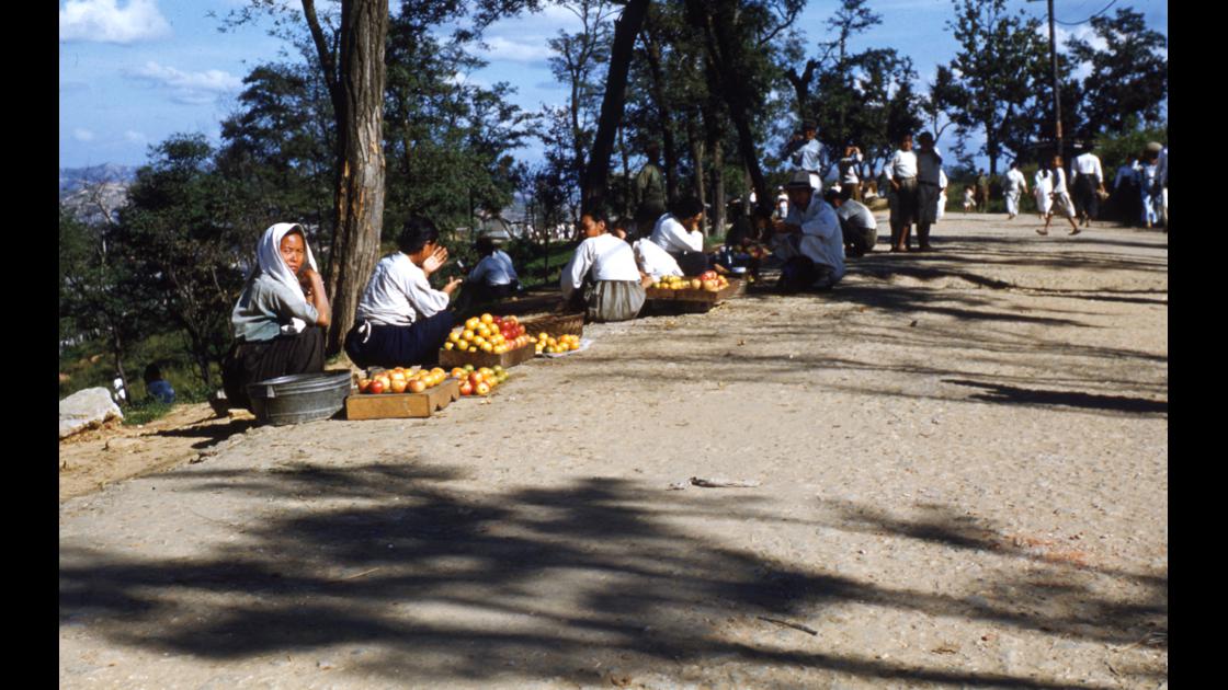 1952년 10월 인천의 공원에 거리에 앉아 과일을 파는 여인들 모습 썸네일