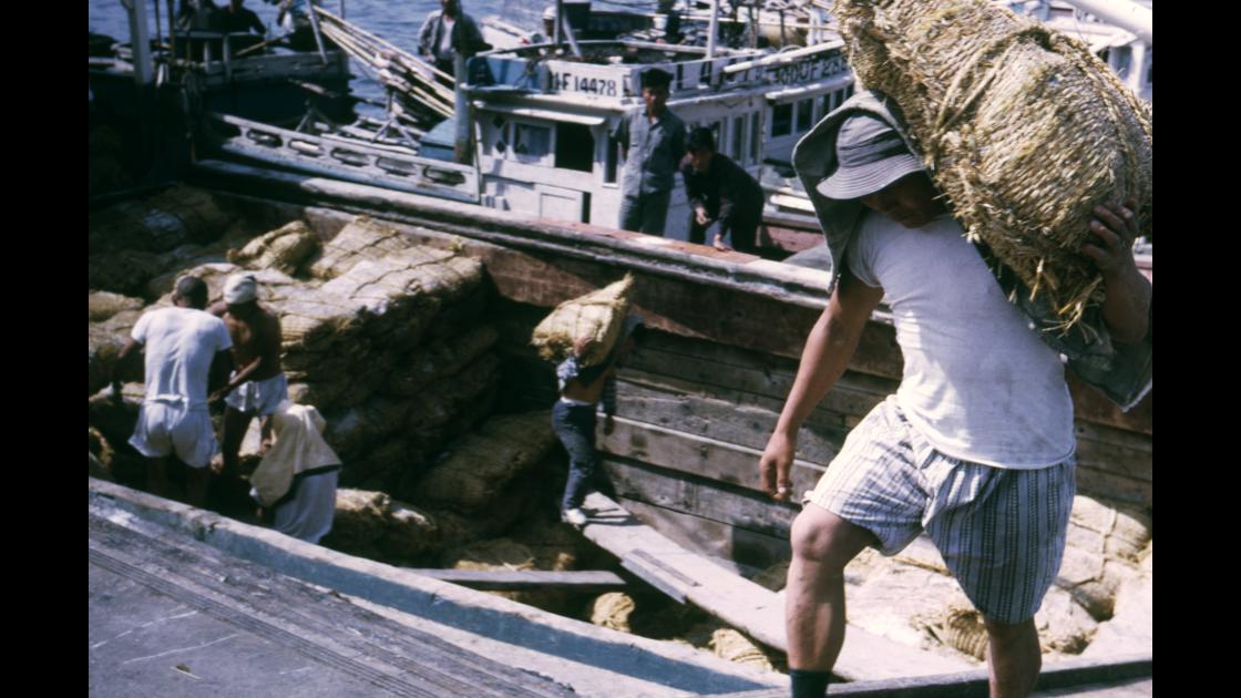 1968년 남해안지방에서 배로 운반해 온 쌀가마니를 어깨에 메고 하역하는 1968년 부산 영도 봉래동 해안의 부두 노무자들_1 썸네일