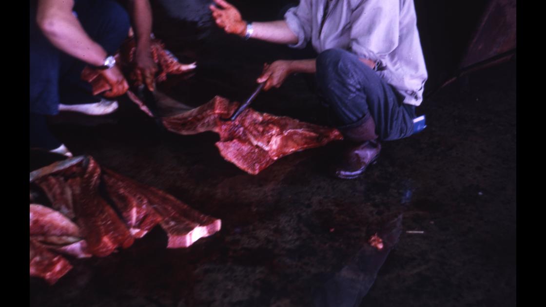 1968년 부산 자갈치 시장의 고래고기 도매상인 썸네일