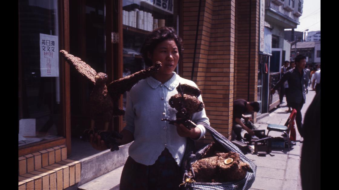 1968년 솔방울로 만든 민예품을 들고 부산 거리를 다니며 팔고있는 여인 썸네일