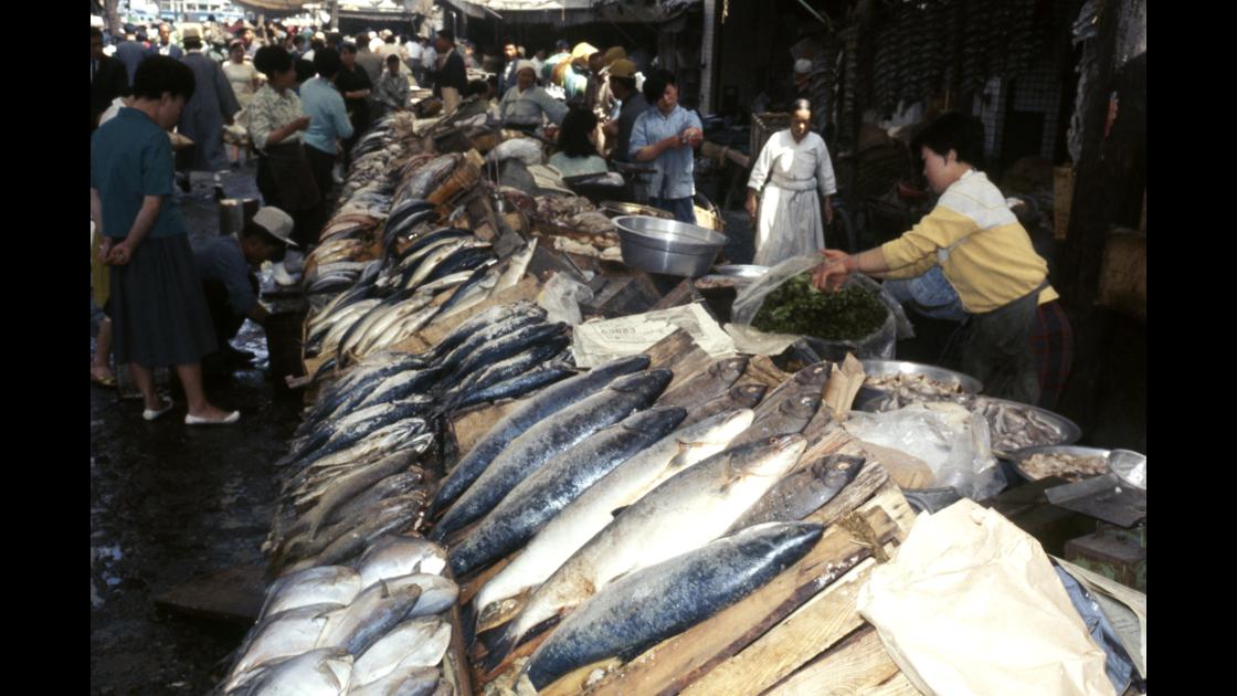 1968년 자갈치시장 생선 노점상과 사람들 썸네일