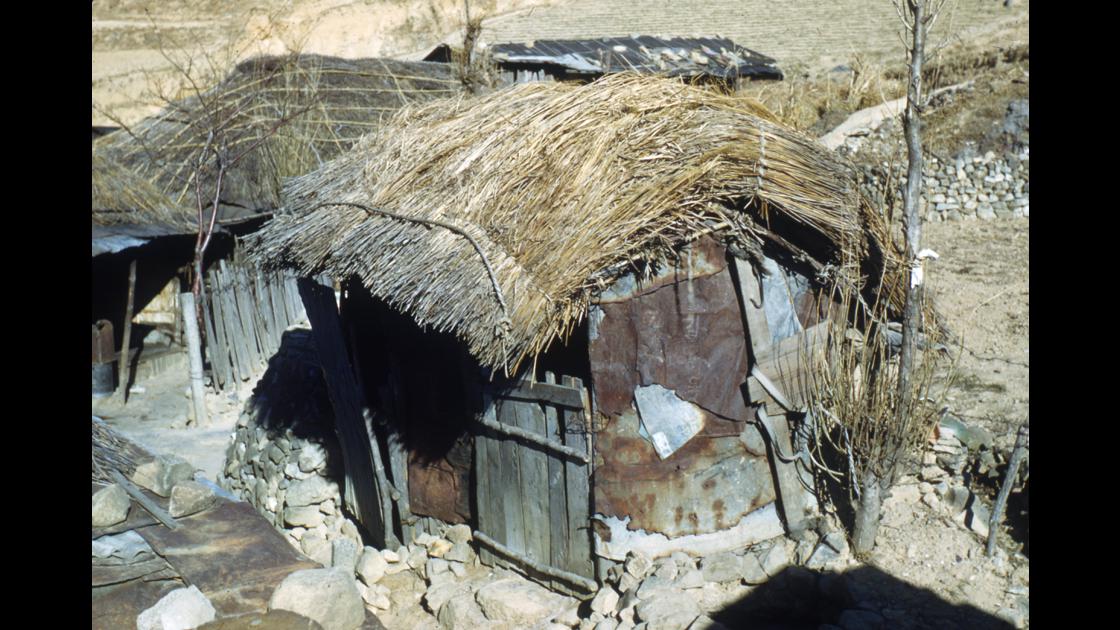 1951년 1월 14일 부산 남구 피란민 가족이 살고있는 헛간 가옥 썸네일
