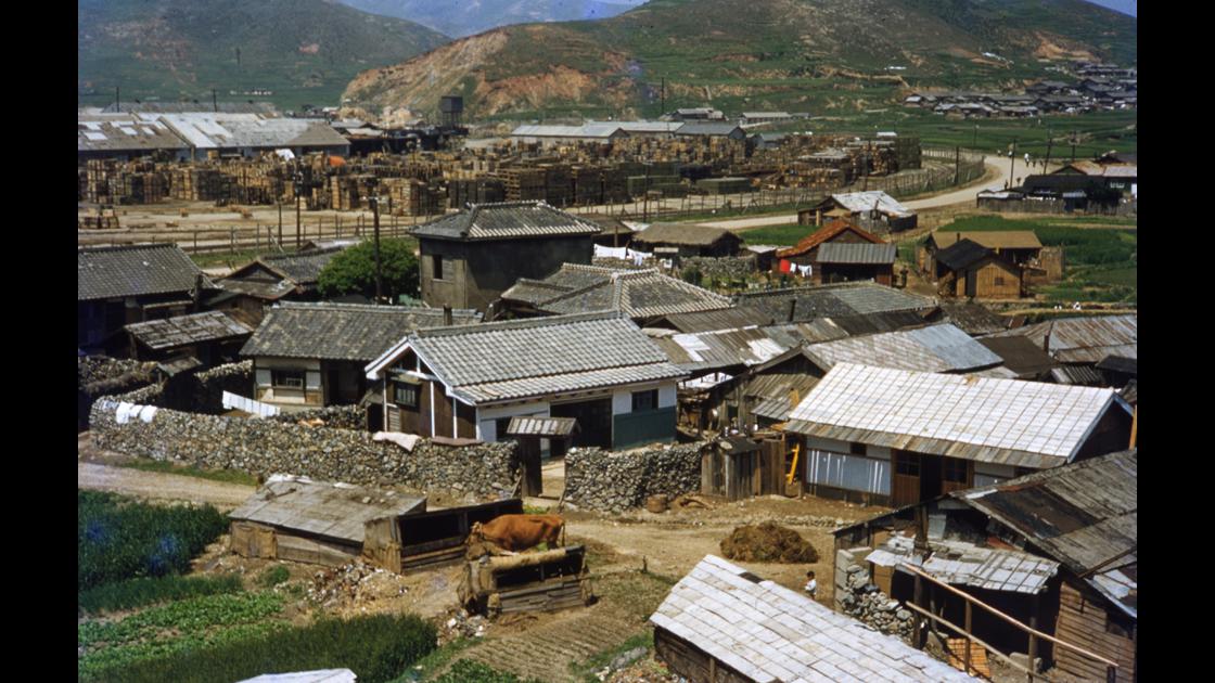 1952년 부산 남구 감만동 감만사거리 남쪽에서 우룡산 방향 썸네일