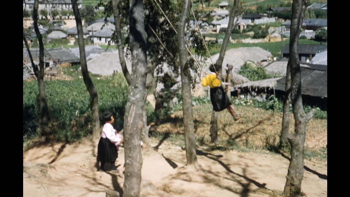 1952년 부산 남구 감만동 동항초등학교 건너 무민사 소나무 숲에서 그네를 뛰는 소녀들 썸네일