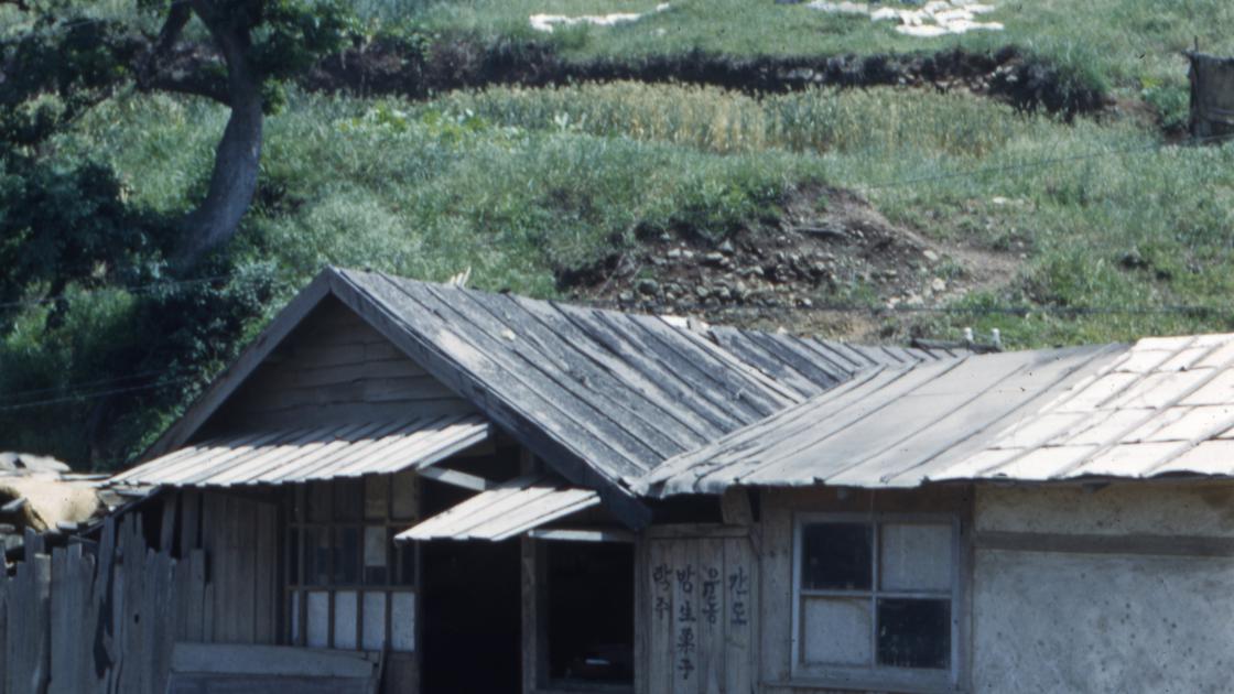 1952년 부산 남구 감만동 현 감만1동 주민센터 인근의 구멍가게 썸네일
