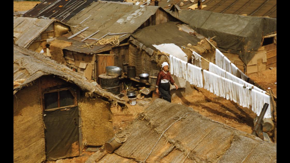 1952년 부산 남구 감만동의 피란민 가옥들 썸네일