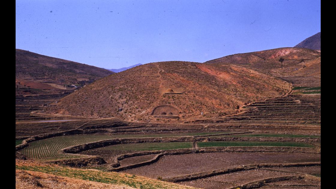 1952년 부산 남구 대연동 고동골 인근의 헐벗은 산과 개인 분묘 썸네일