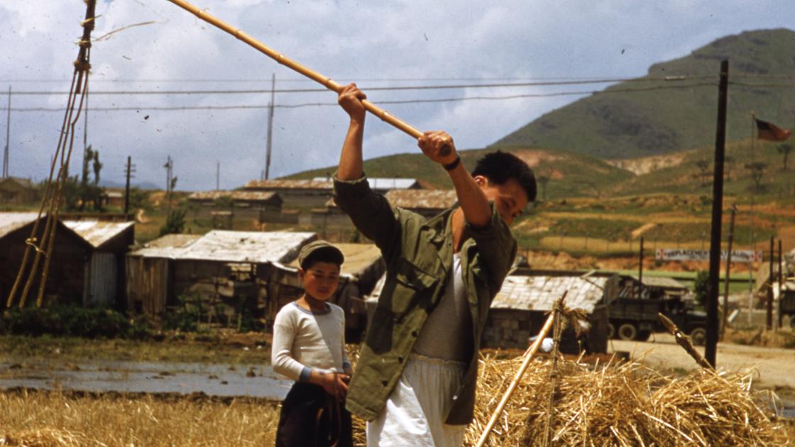 1952년 부산 남구 대연동 미 제5공군사령부 인근 농가의 보리타작 도리깨질 썸네일