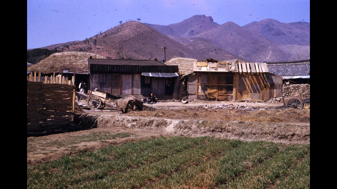1952년 부산 남구 대연동 현 부산공고 주변 농가에서 바라본 황령산 사자봉 썸네일