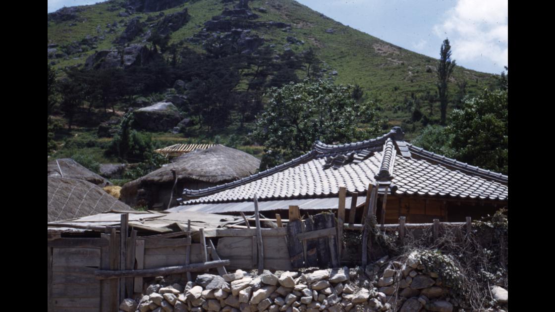 1952년 부산 남구 대연동 황령산 자락의 가옥들 썸네일