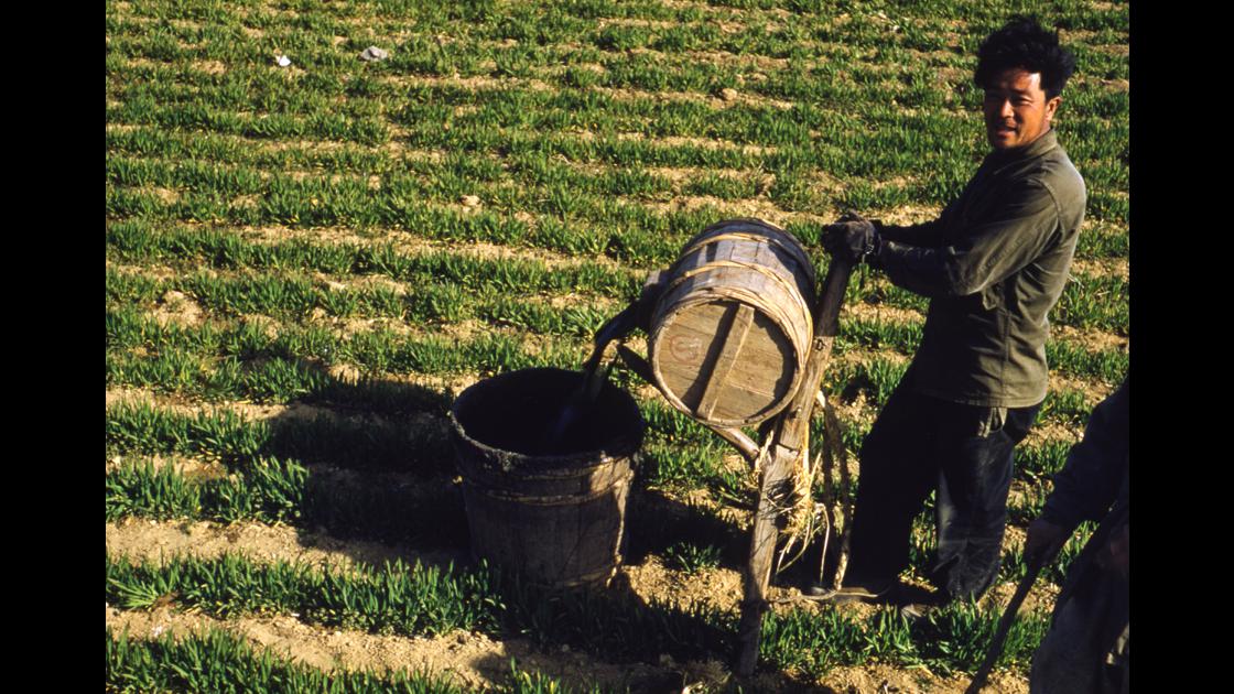 1952년 부산 남구 대연동의 농부가 보리밭에 인분 거름을 주기 위해 장군통의 거름을 별도 통에 붓고있는 모습_1 썸네일