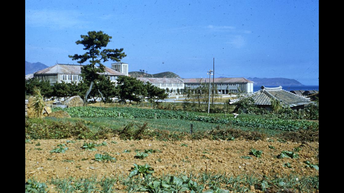 1952년 부산 남구 수산대학교(현 부경대)에 마련된 미8군 캠프 원경 썸네일