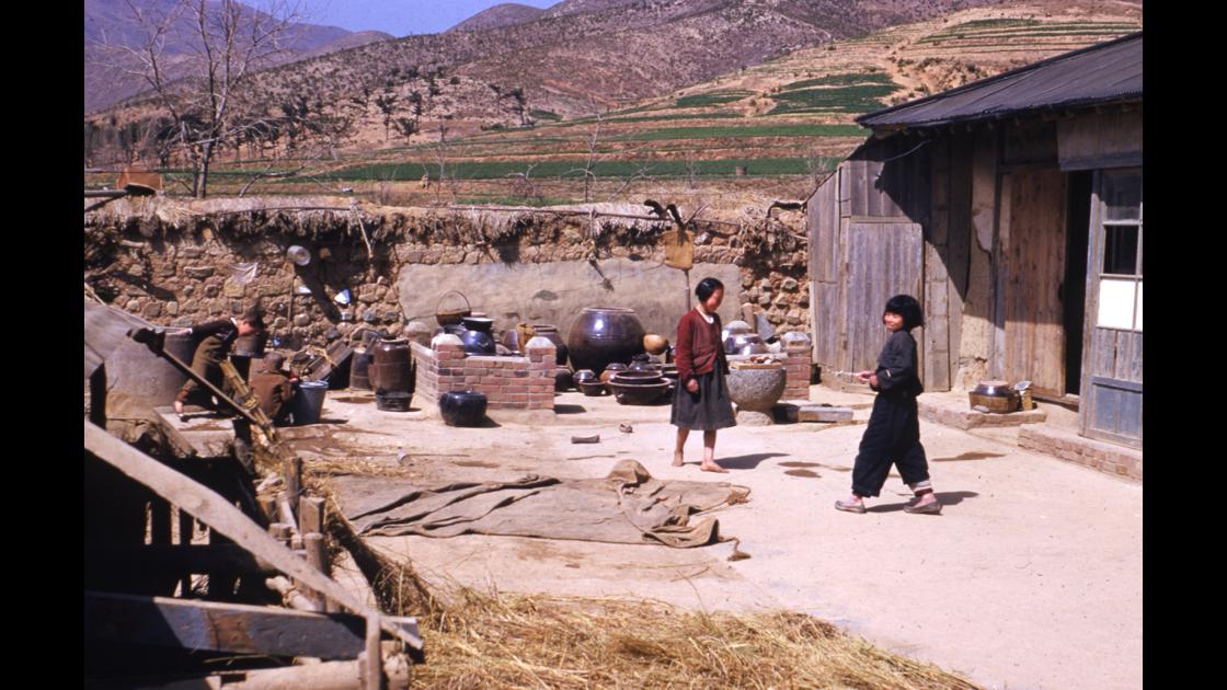 1952년 부산 수영구 남천동 농가의 마당에서 노는 여자 아이들 썸네일