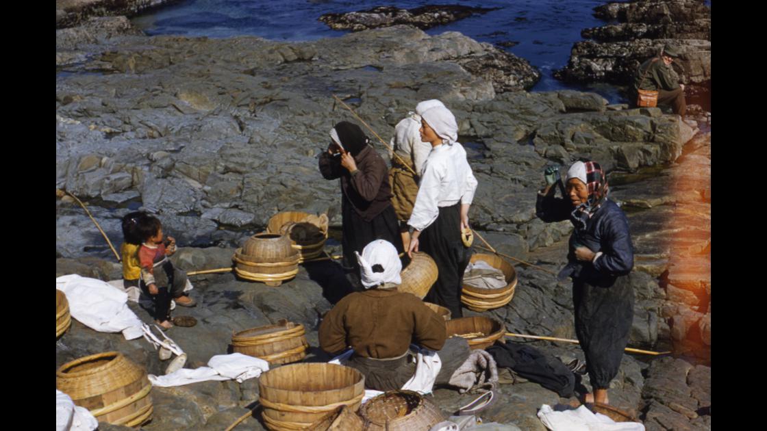 1952년 부산 수영구 남천동 해안마을 해녀들이 물질을 위해 바닷가에 모여서 옷을 갈아입을 준비를 하는 모습 썸네일