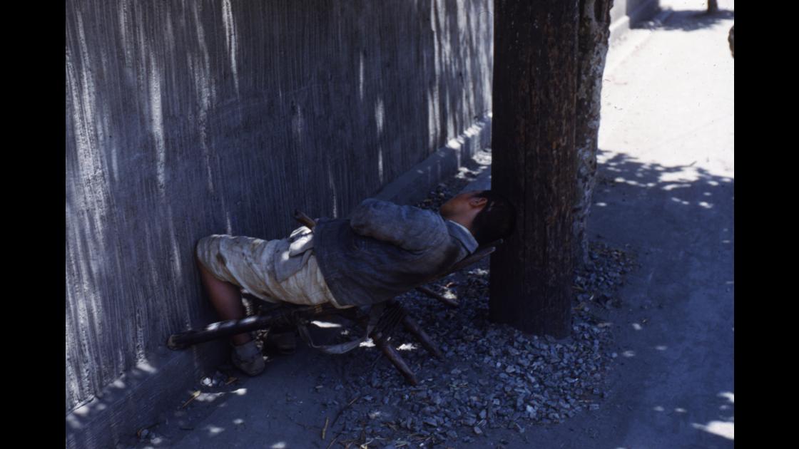 1952년 부산 중구 거리 뒷골목 나무그늘 아래에서 지게에 걸쳐누워 낮잠을 자는 지게꾼 썸네일
