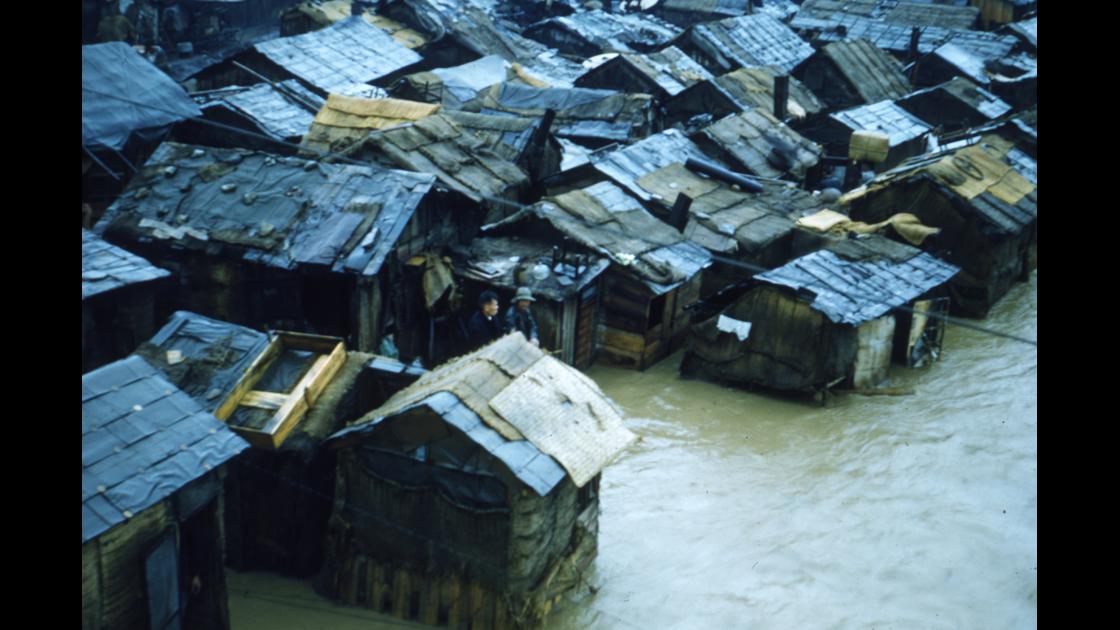 1952년 부산의 홍수로 물에 잠긴 부전천변 피란민 가옥들 썸네일