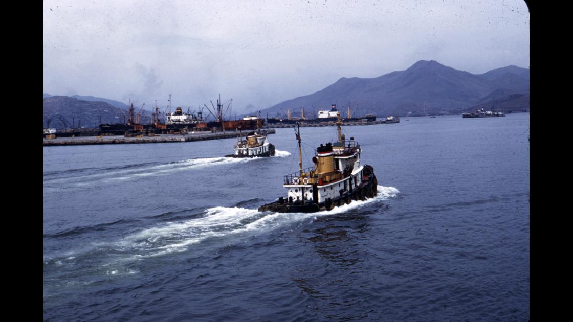 1953년 초 부산항_참전 귀환병사들을 태운 선박을 안내하는 파일럿 선들 출동 썸네일