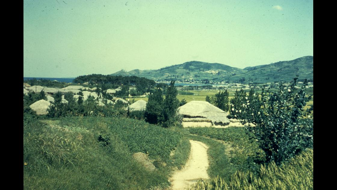 1958년 포항시 북구 용한리 마을 전경 썸네일