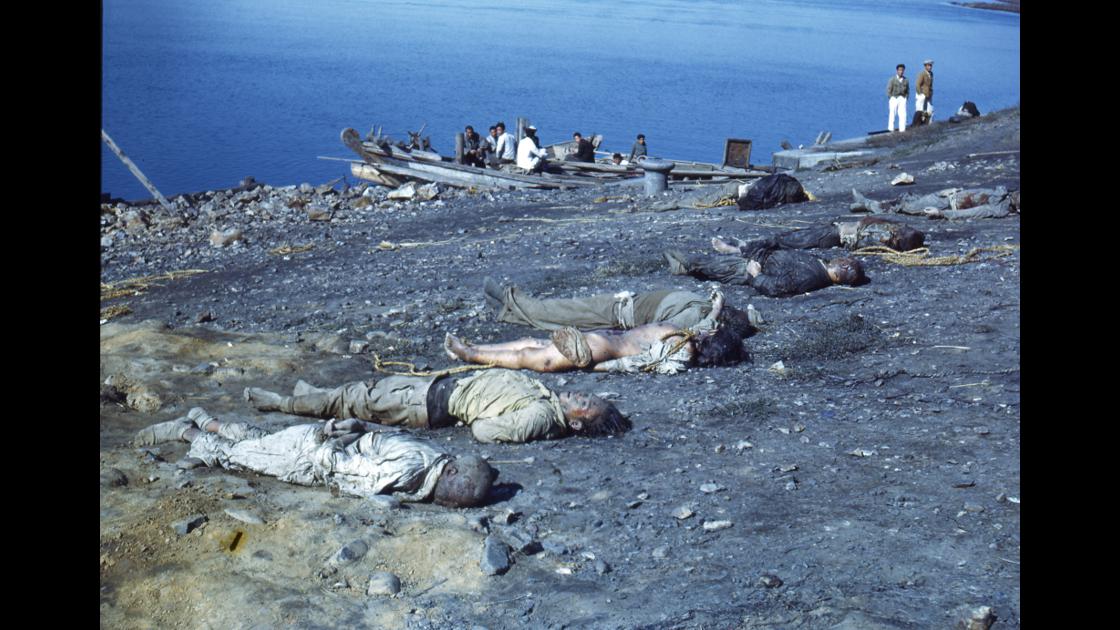 1951년 인천지역 해안에 처형을 당하여 수장한 시신을 뭍에 끌어 올려놓은 모습 썸네일