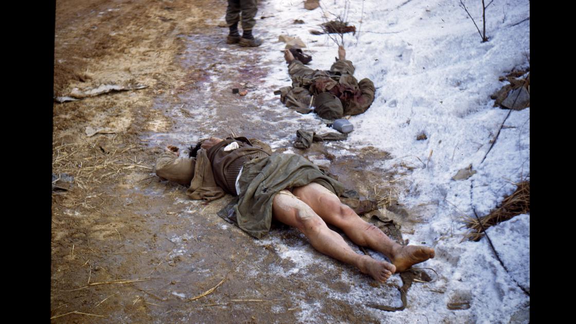 1951년 전투중 사망한 군인 시신들 썸네일