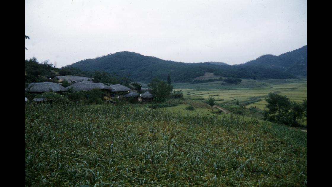 1960년 10월 경기도 동두천 인근 산자락 아래 마을의 논 썸네일
