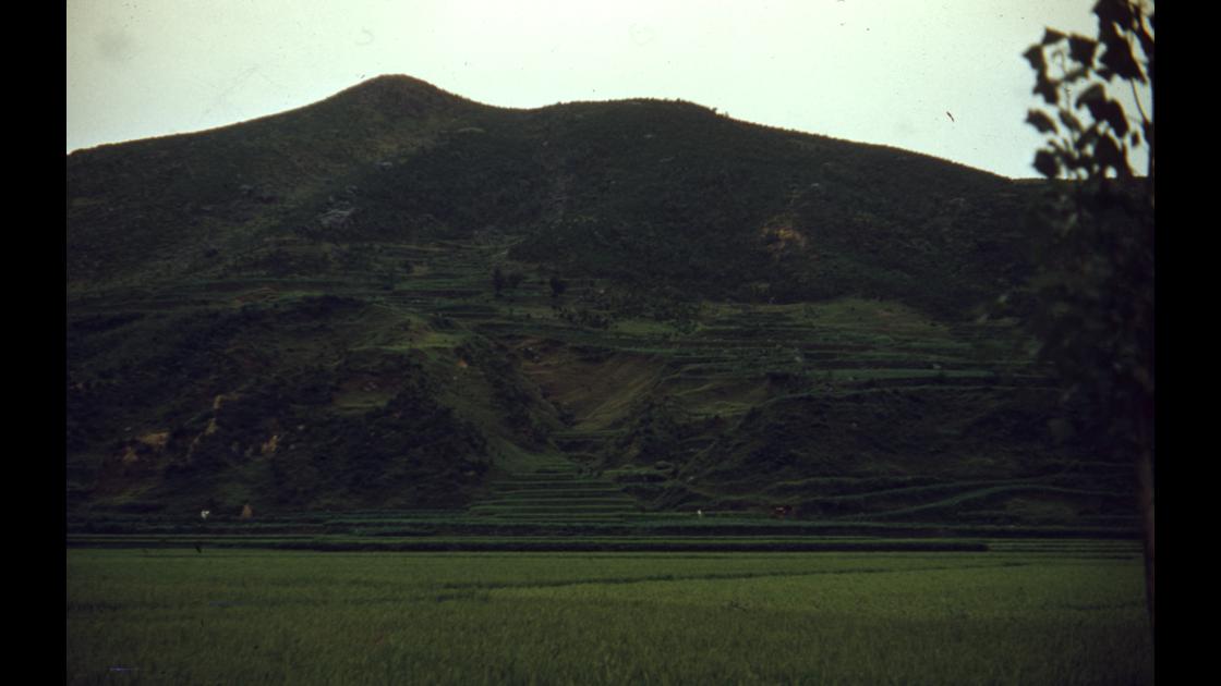 1953년 여름 서울 북한강 지역의 논과 산 썸네일