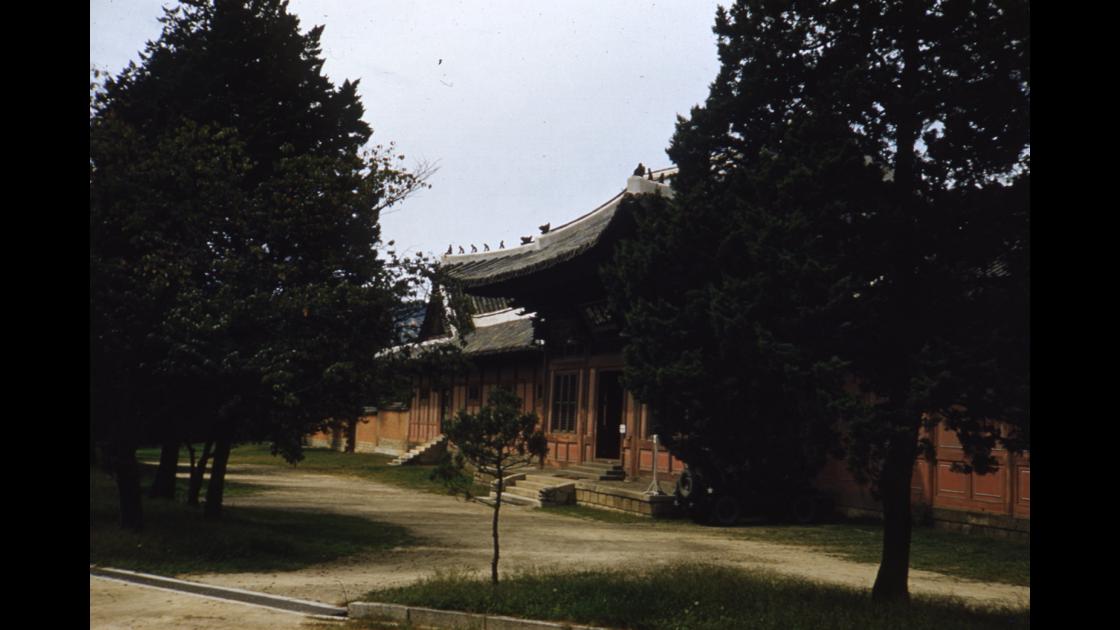 1954년 9월 14일 서울 창덕궁 인정문 앞 썸네일