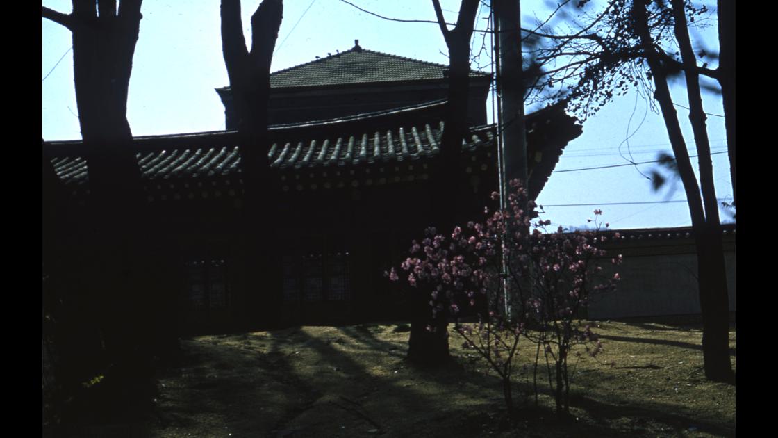 1960년 3월 서울 한국의 집 썸네일