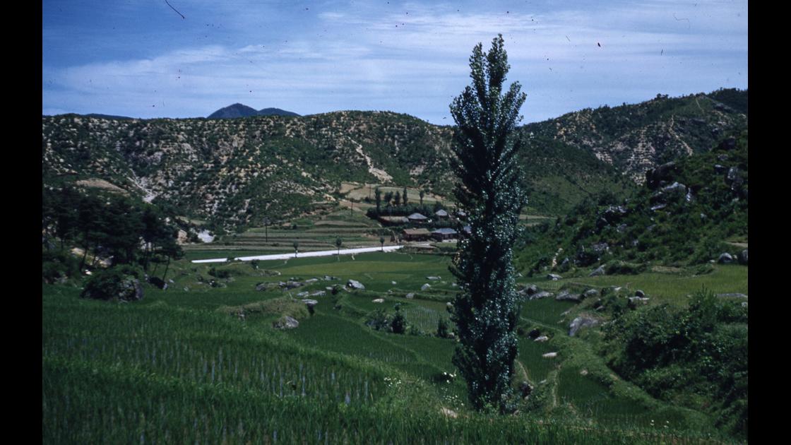 1952년 부산 금정구 범어사 입구의 청룡동 마을 썸네일