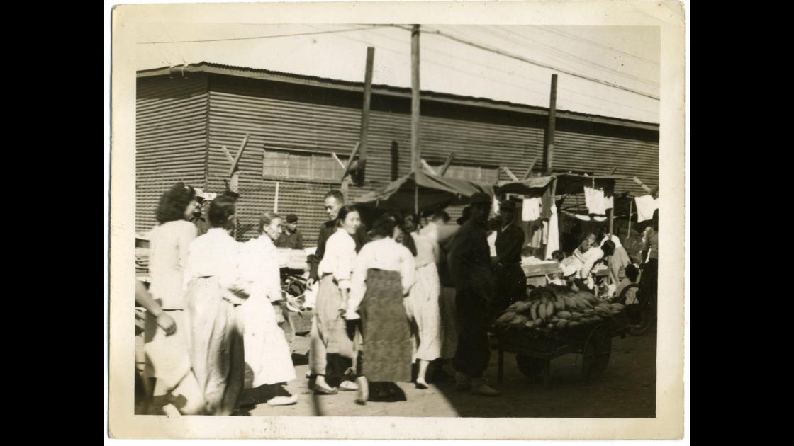 1953년 부산 중구 남포동 자갈치시장 썸네일