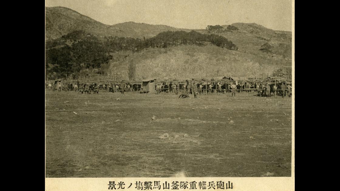 1918년 부산 부산진구 초읍동 일본군 산포병경중대 부산 말 번식장 모습 썸네일