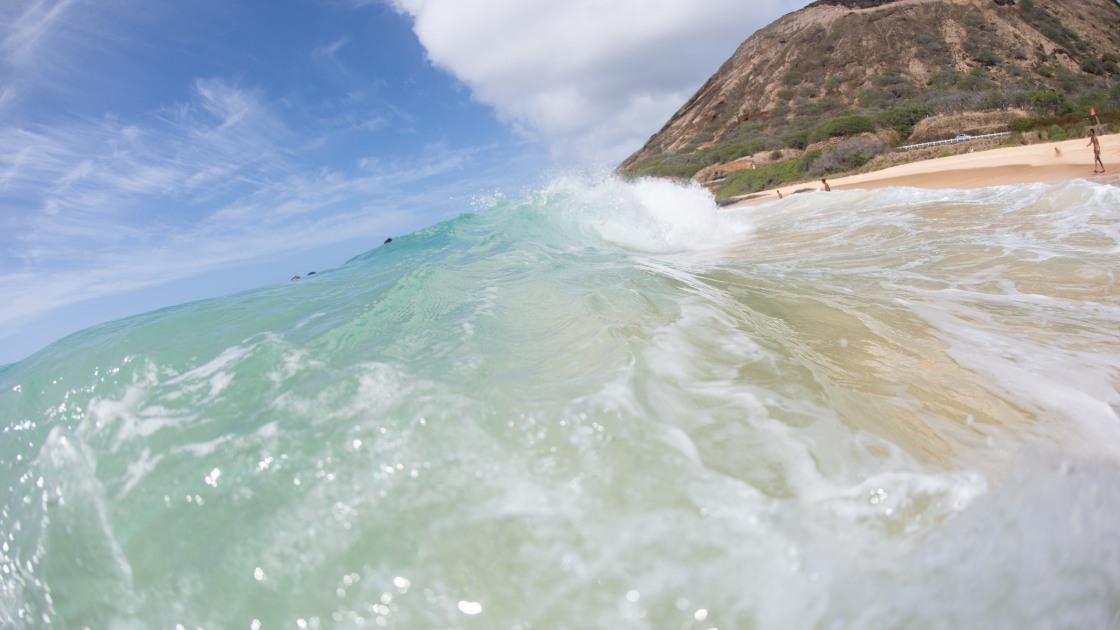 하와이 바다 서핑203 썸네일
