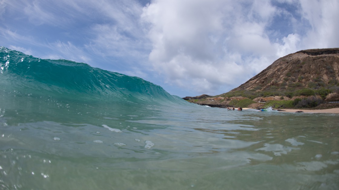 하와이 바다 서핑210 썸네일