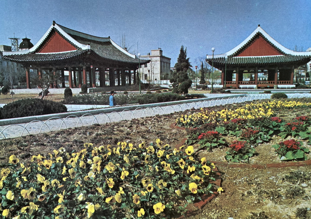 1971년_대구 중앙공원 썸네일