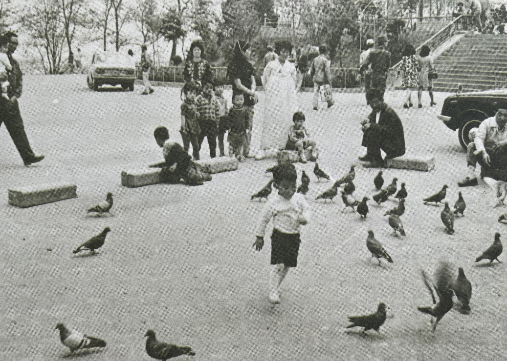 1971년_인천 자유공원 광장 썸네일