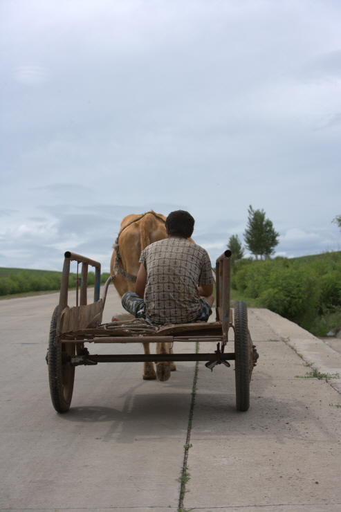 중국 길림성에서 만난 우마차 썸네일