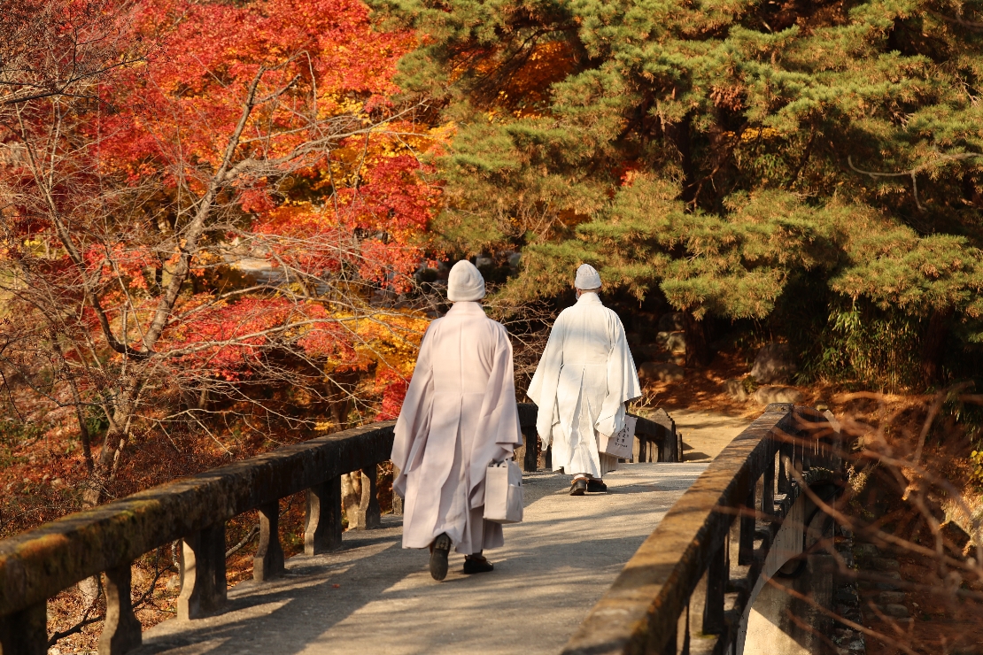 한국 문화유산(청도 운문사 가을 풍경) 썸네일