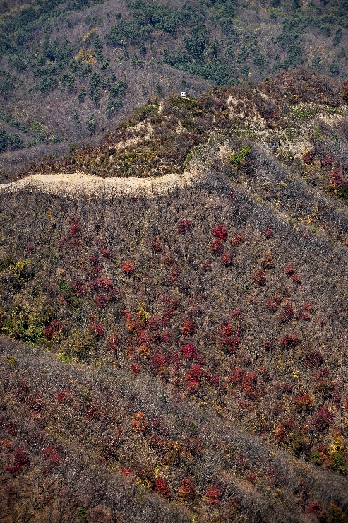 DMZ_벙커가 보이는 가을 산 풍경 썸네일