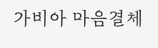 가비아 마음결체 미리보기