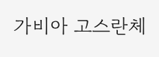 가비아 고스란체 미리보기
